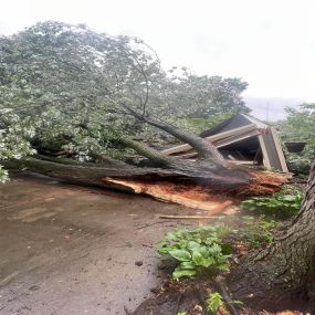 Before fallen tree removal on garage in Fenton, MI