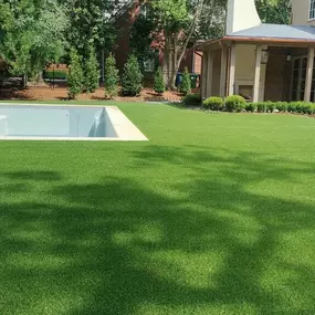 Bild von Purchase Green Artificial Green