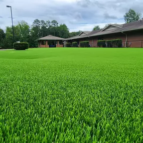 Bild von Purchase Green Artificial Grass