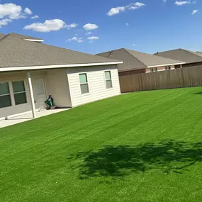 Bild von Purchase Green Artificial Grass