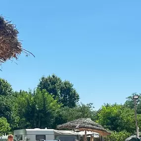 Bild von Camping le fief d'Anduze