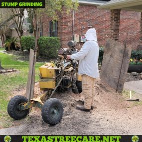 Bild von Texas Tree Care