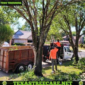 Bild von Texas Tree Care