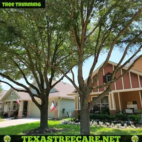 Bild von Texas Tree Care