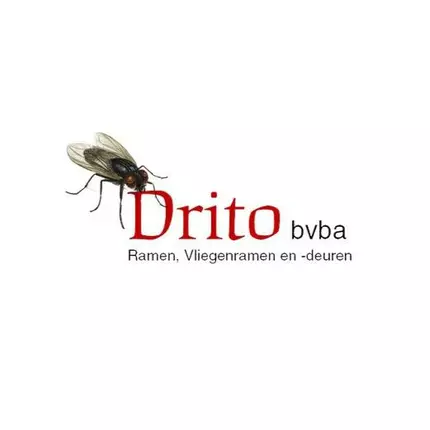 Logotipo de Drito