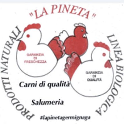 Logo de La Pineta germignaga