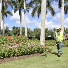 Bild von Estate Landscaping & Lawn Management