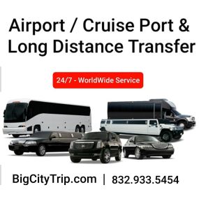 Bild von Big City Trip by Travel Leaders for Air, Cruise, Shuttle Service and Land Vacations