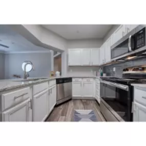 Stainless Steel Appliances and Granite Countertops