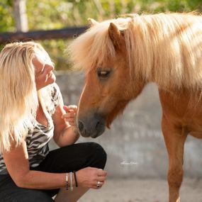 Bild von Dabeau Coaching met paarden