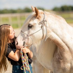 Bild von Dabeau Coaching met paarden