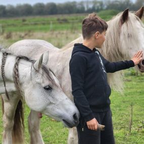 Bild von Dabeau Coaching met paarden