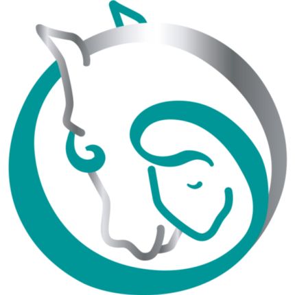 Logo fra Dabeau Coaching met paarden