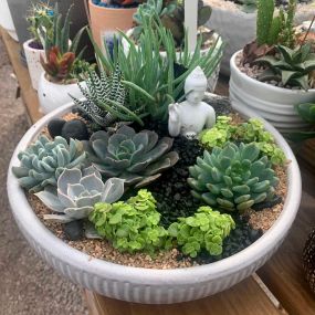 Bild von East Austin Succulents