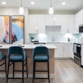 Kitchen with two modern cabinetry options with soft-close cabinets and polished chrome hardware and fixtures