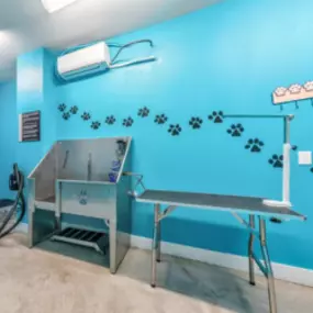 Pet Grooming Station