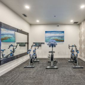 Cardio fitness center