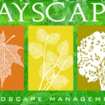 Logo from Bayscape Landscape Management