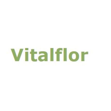 Logo from Vitalfor s.n.c.