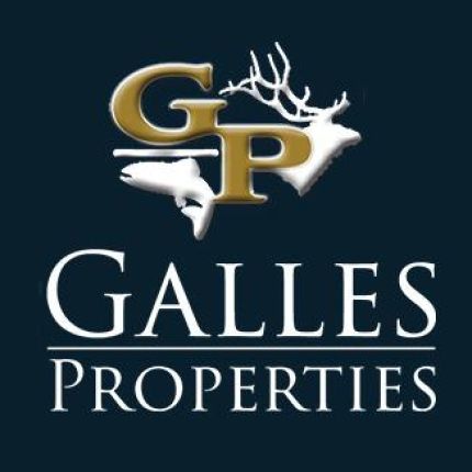 Logo von Galles Properties Real Estate