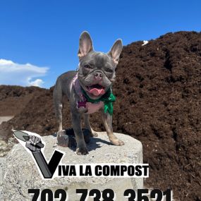 Bild von Viva La Compost