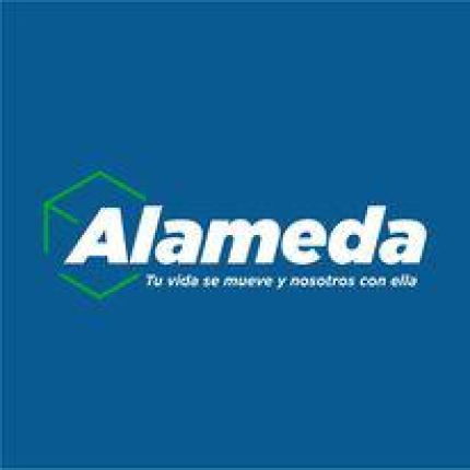 Logo from Mudanzas Alameda