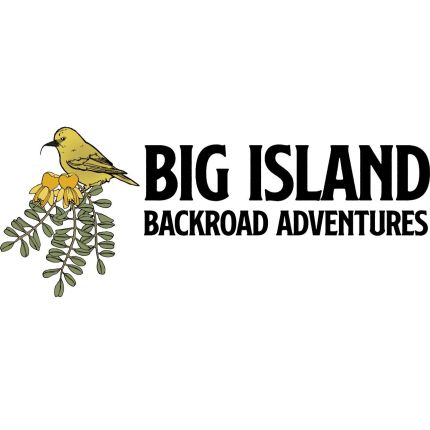 Logo from Big Island Backroad Adventures