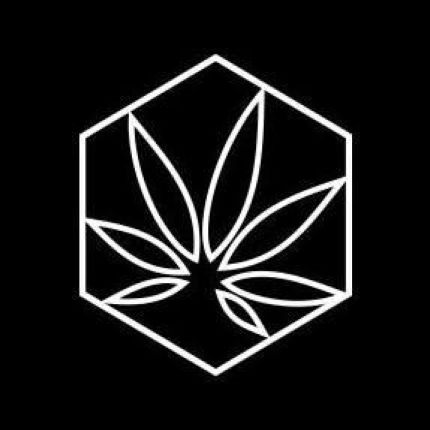Logótipo de Cannabis Creative Group