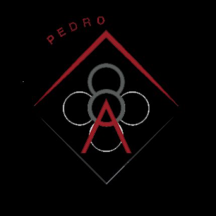 Logotipo de Pedroochoa