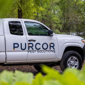 Bild von PURCOR Pest Solutions