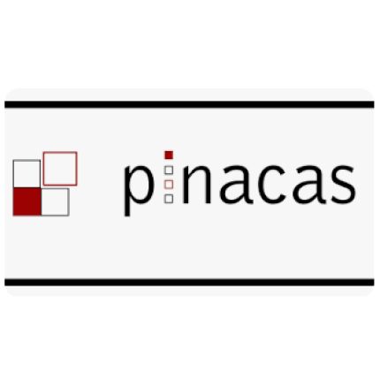 Logótipo de Piedras Naturales De Castilla -Pinacas-