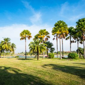 Real Estate in Sarasota Florida Golfing Community
