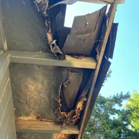 Bild von Forever Roofing