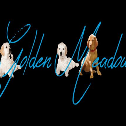 Logo od Golden Meadows Kennel