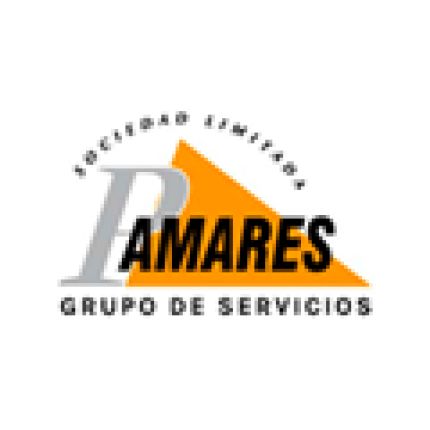 Logo de Pamares Grupo De Sevicios