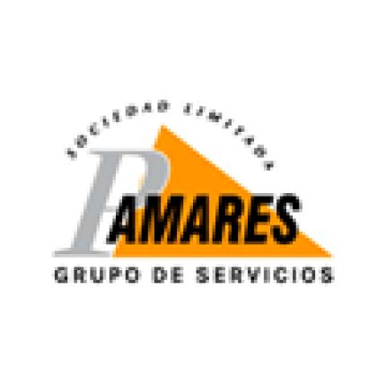 Logótipo de Pamares Grupo De Sevicios