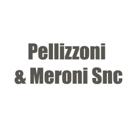 Logo od Pellizzoni & Meroni Snc