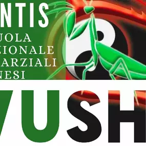 Bild von KMANTIS ASSOCIATION WUSHU ACADEMY - Roma