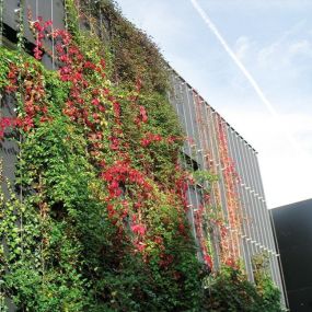 Greencable trellis system for building facade by Carl Stahl DecorCable.
