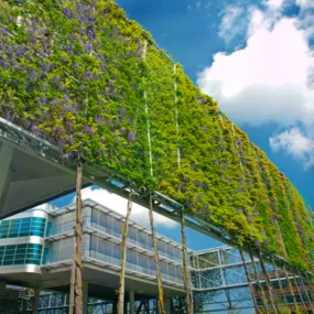 Stainless steel cable mesh greenery system building facade by Carl Stahl DecorCable.