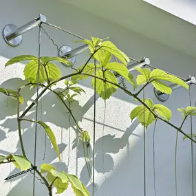 Standoffs for stainless steel greenery systems by Carl Stahl DecorCable.