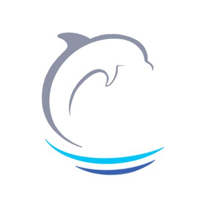 Logotyp från Tapiceria Delfin