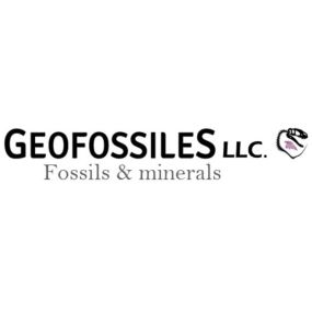Bild von Geofossiles Rock Shop