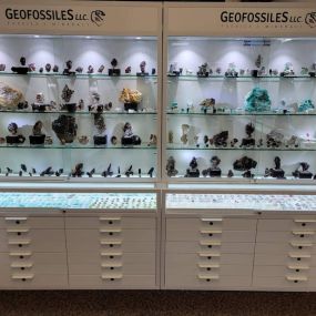 Bild von Geofossiles Rock Shop