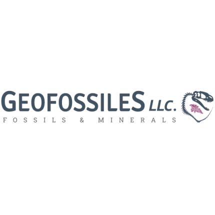 Logotyp från Geofossiles Rock Shop