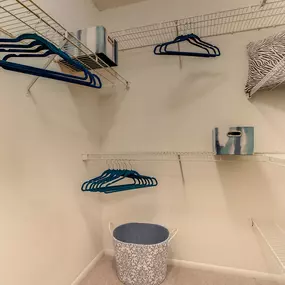 Large Closet with Organized Shelving