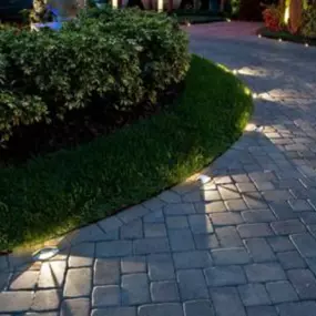 Bild von Wonderly Lights of Raleigh - Wake Forest