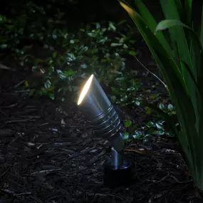 Bild von Wonderly Lights of Raleigh - Wake Forest