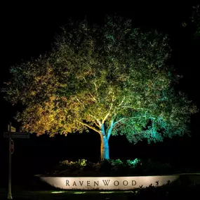 Bild von Wonderly Lights of Raleigh - Wake Forest