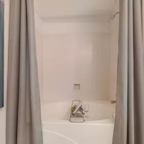 Large Soaking Tubs